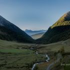 Fanealm (Südtirol)