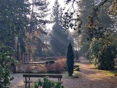 Fang das Licht