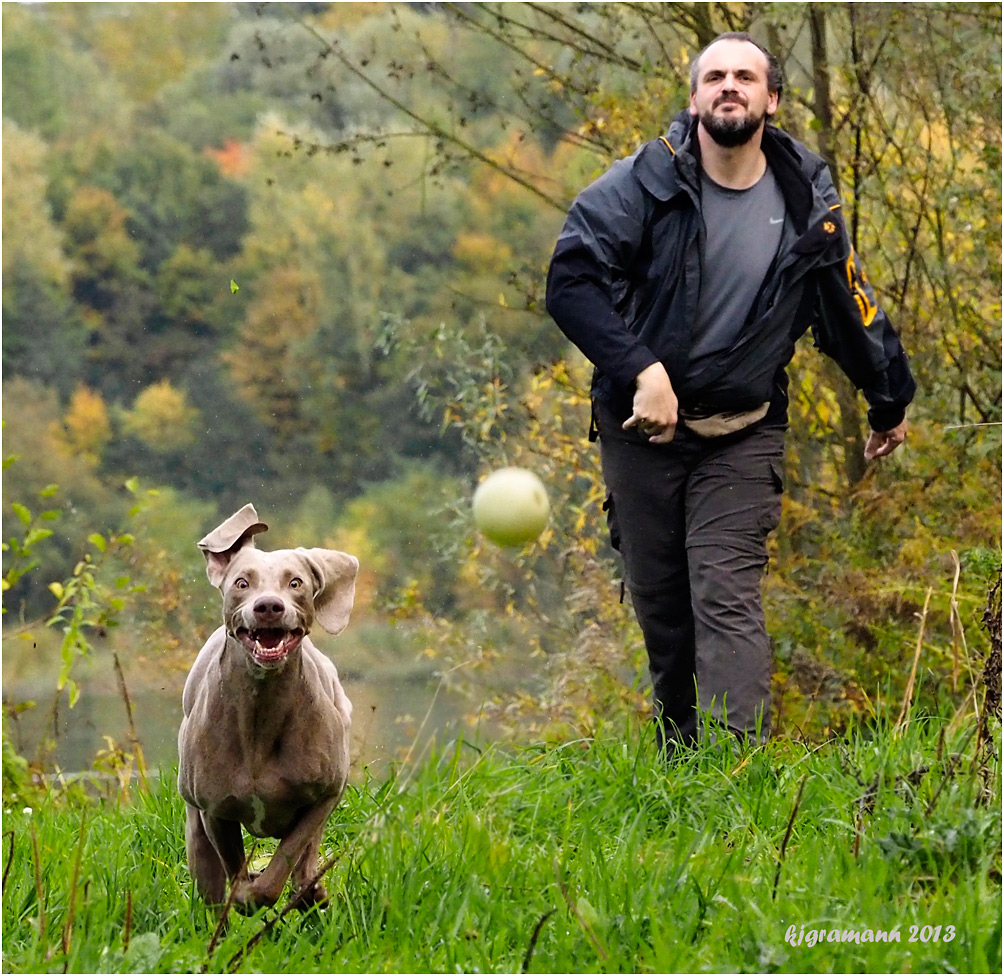 fang den ball II......