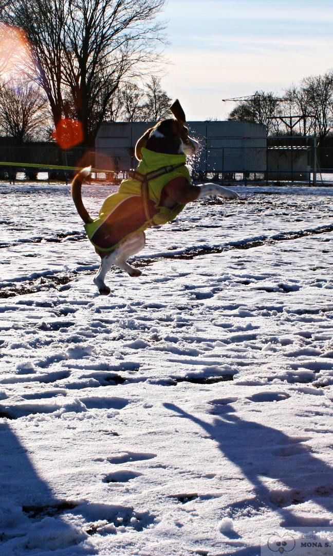 Fang den Schnee