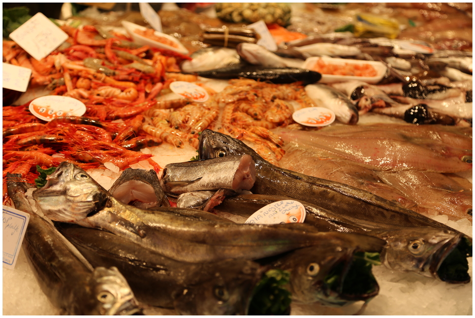 Fangfrischer Fisch in einer Markthalle in Barcelona (Mercat d'Hostafranc)