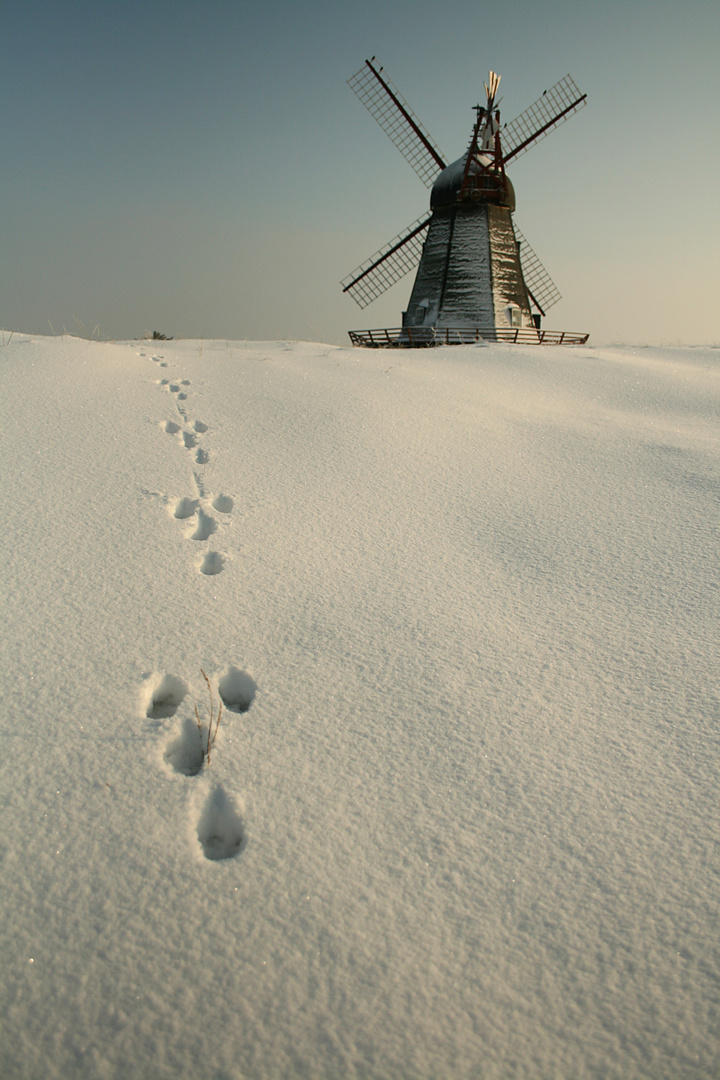 Fanö im Winter