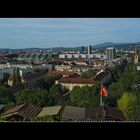 Fans auf dem Bruderholz