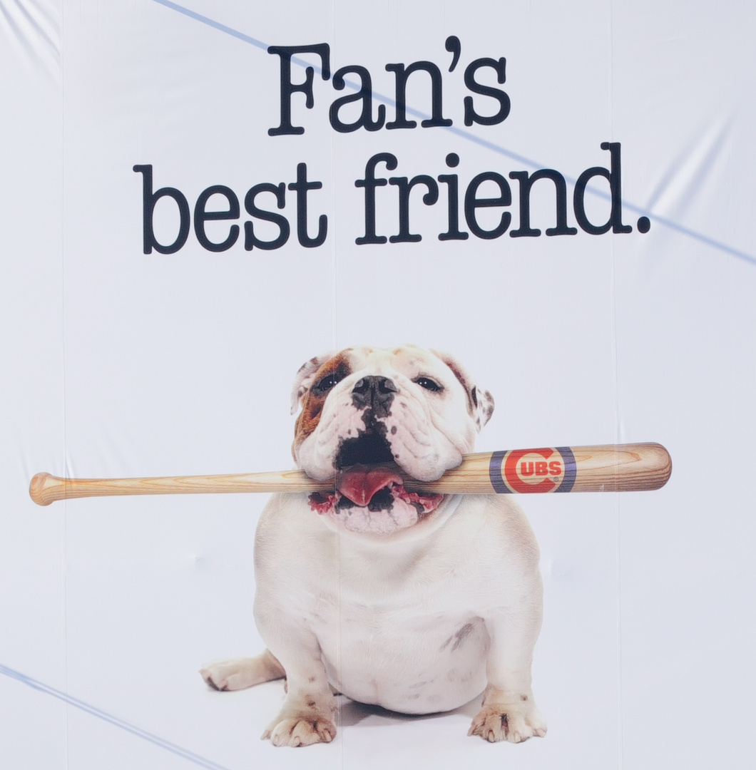 Fan´s best friend