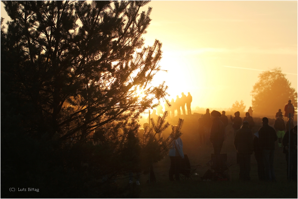 Fans in der Abendsonne