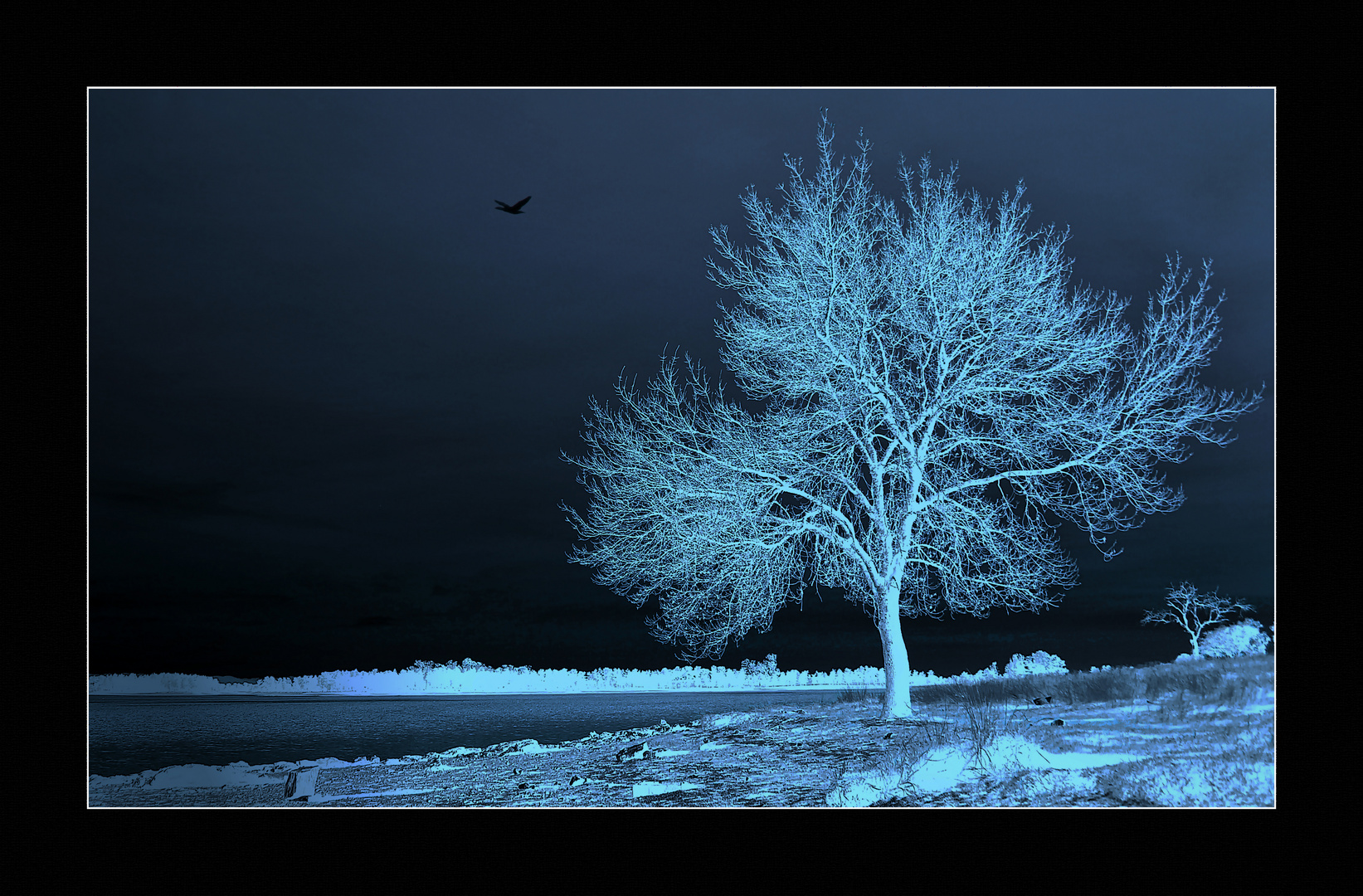 Fantasía de una noche de invierno...