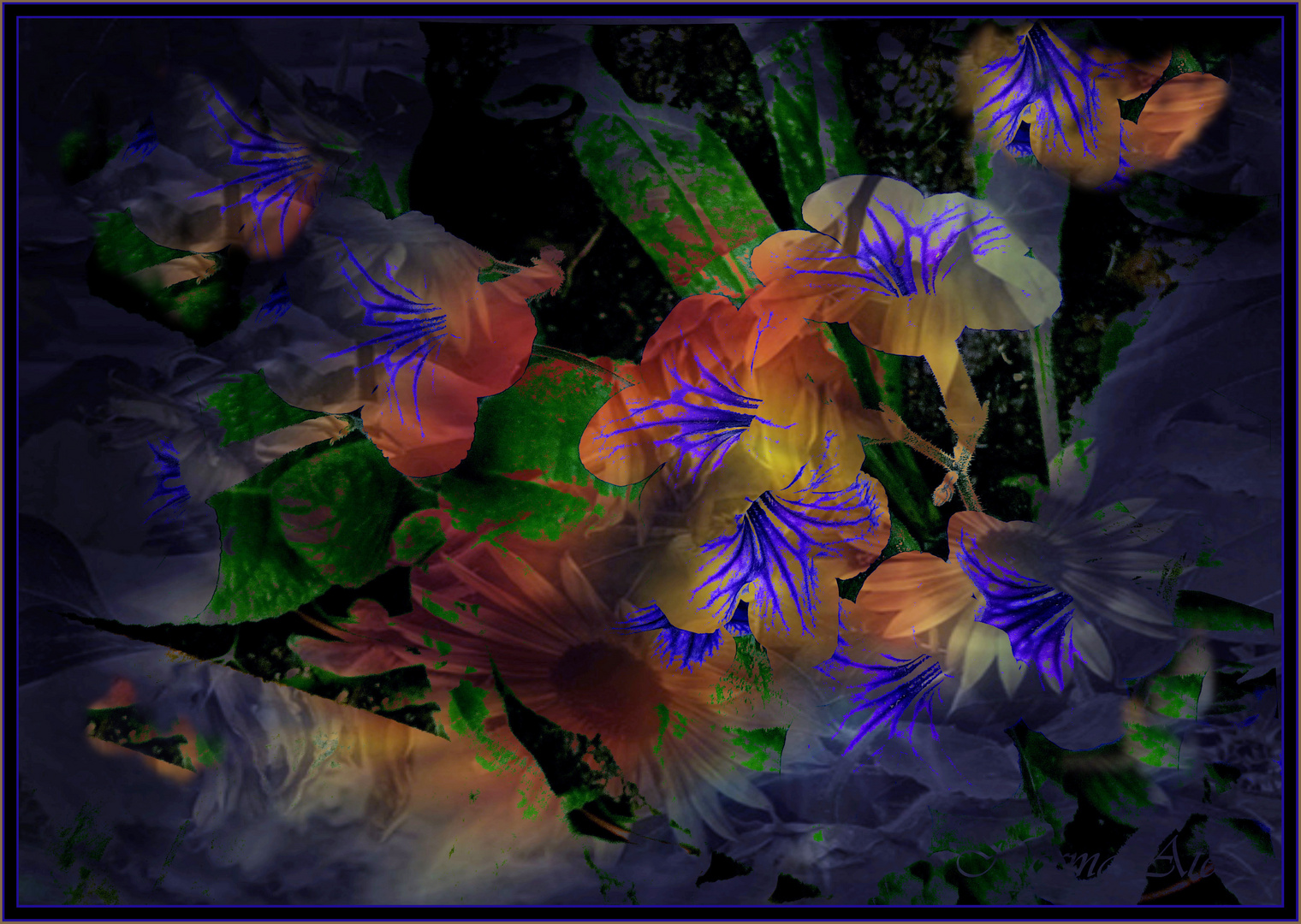 Fantasie Blumen Foto & Bild | nature, spezial, stillleben Bilder auf