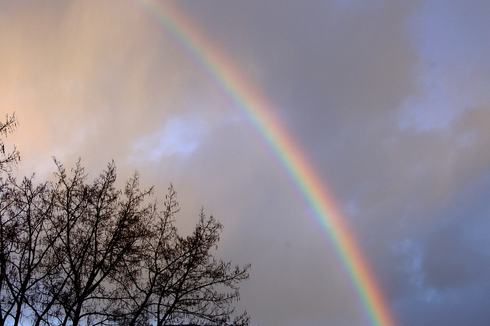 Fantasie ist einen Regenbogen über den Alltag malen!