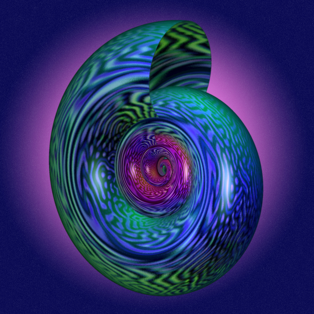 Fantasie Muschel Foto & Bild | fraktale apophysis ...