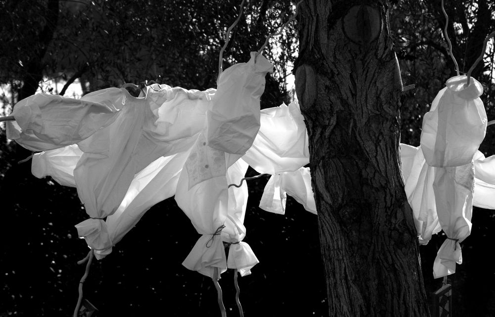 Fantasmi in giardino