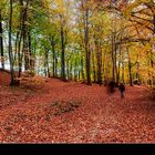 Fantasmi nel bosco