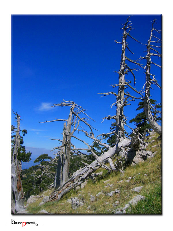 fantasmi sul Pollino