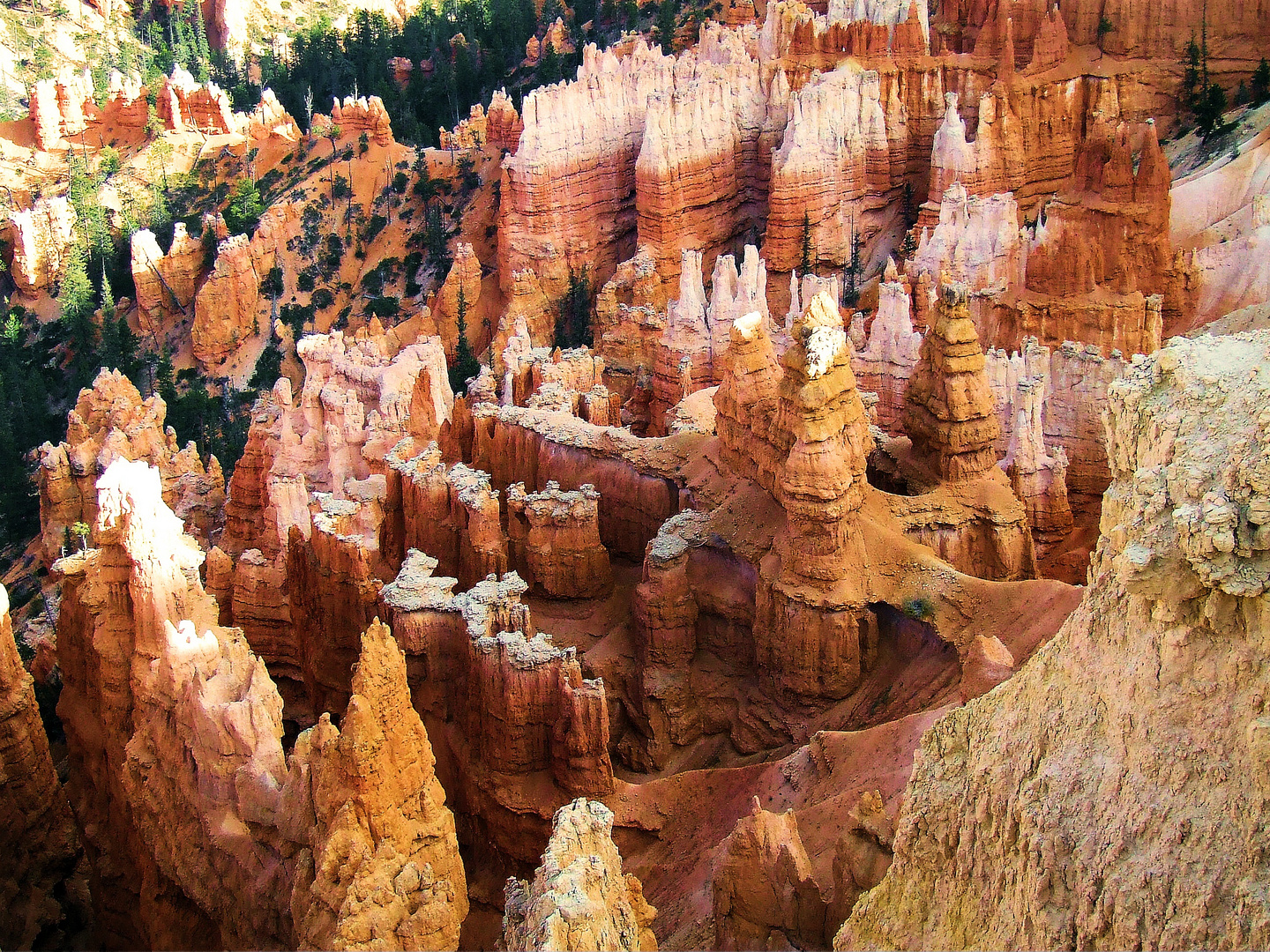 fantastic bryce canyon