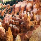 fantastic bryce canyon