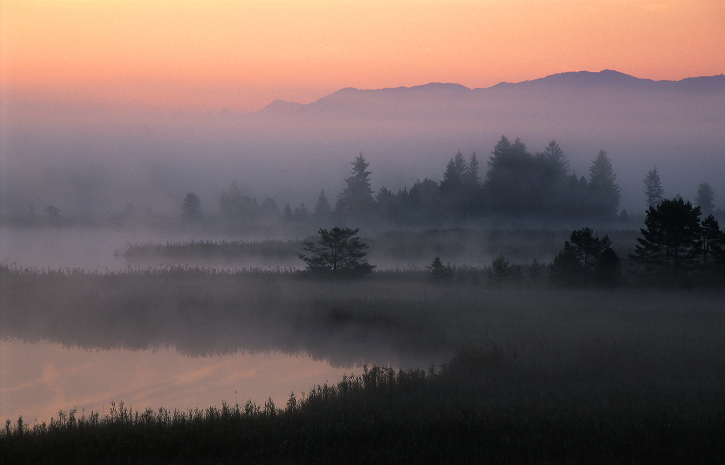 Fantastic Fog