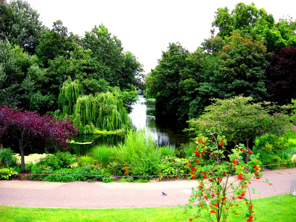 Fantastic green in front of Buckingham Palace