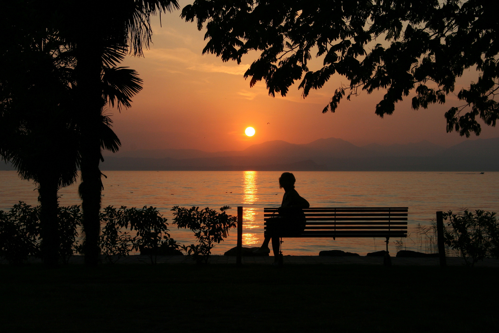 Fantastic orange sunset