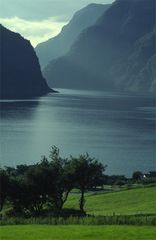 "Fantastische Fjordwelt"