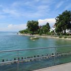 Fantastischer Bodensee !