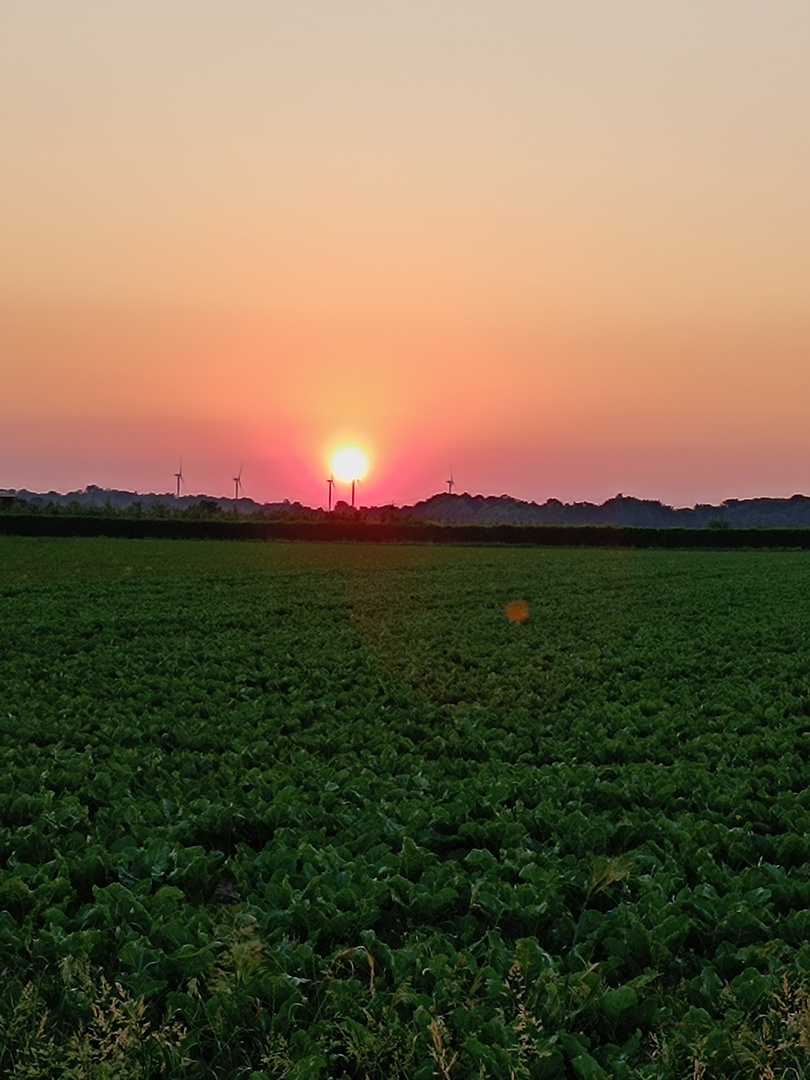 Fantastischer Sonnenaufgang !