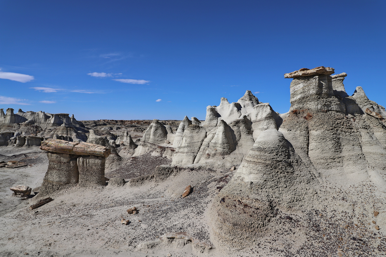 Fantasy Land Bisti Badlands