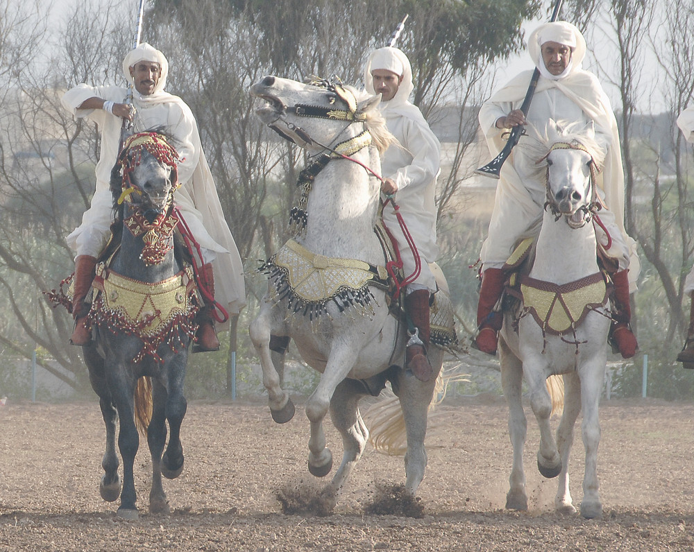 Fantazia in Al-Jadida