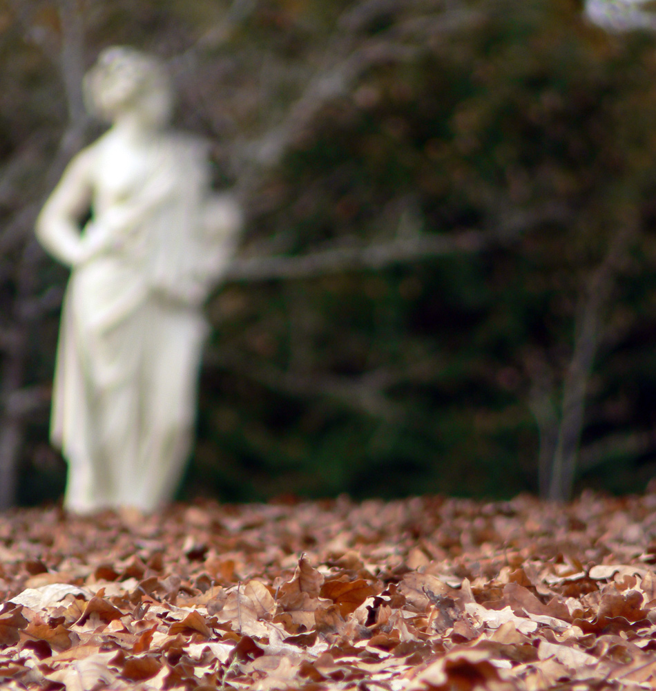 Fantôme dans le parc