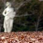 Fantôme dans le parc