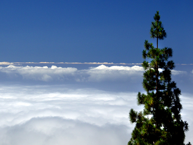 far above the clouds ...