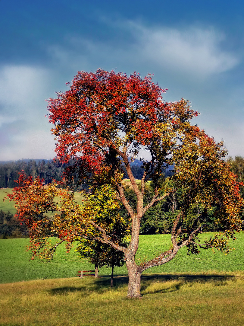 Farbbad im Sonnenlicht