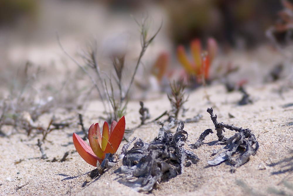 Farbe am Strand