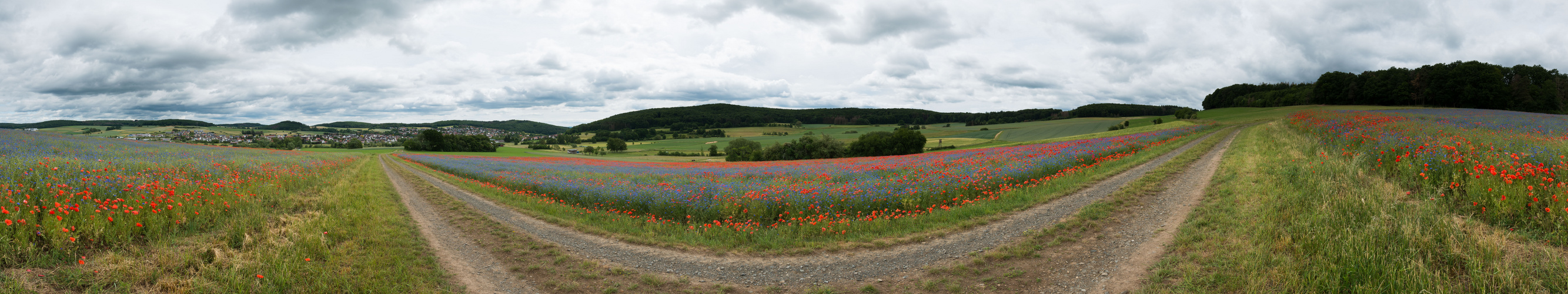 Farbe am Wegesrand