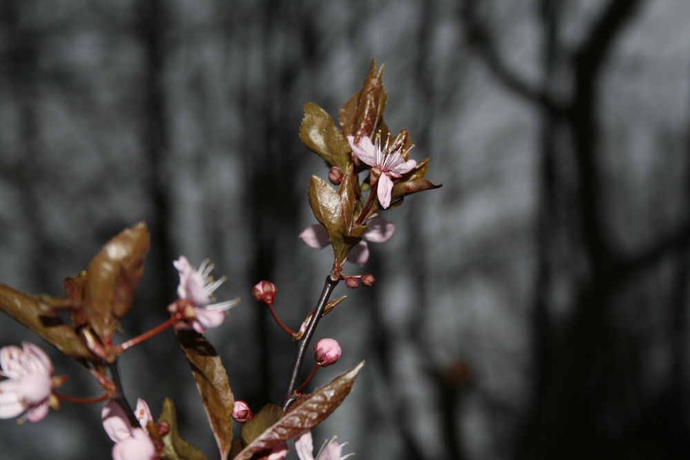 Farbe an einem grauen Tag