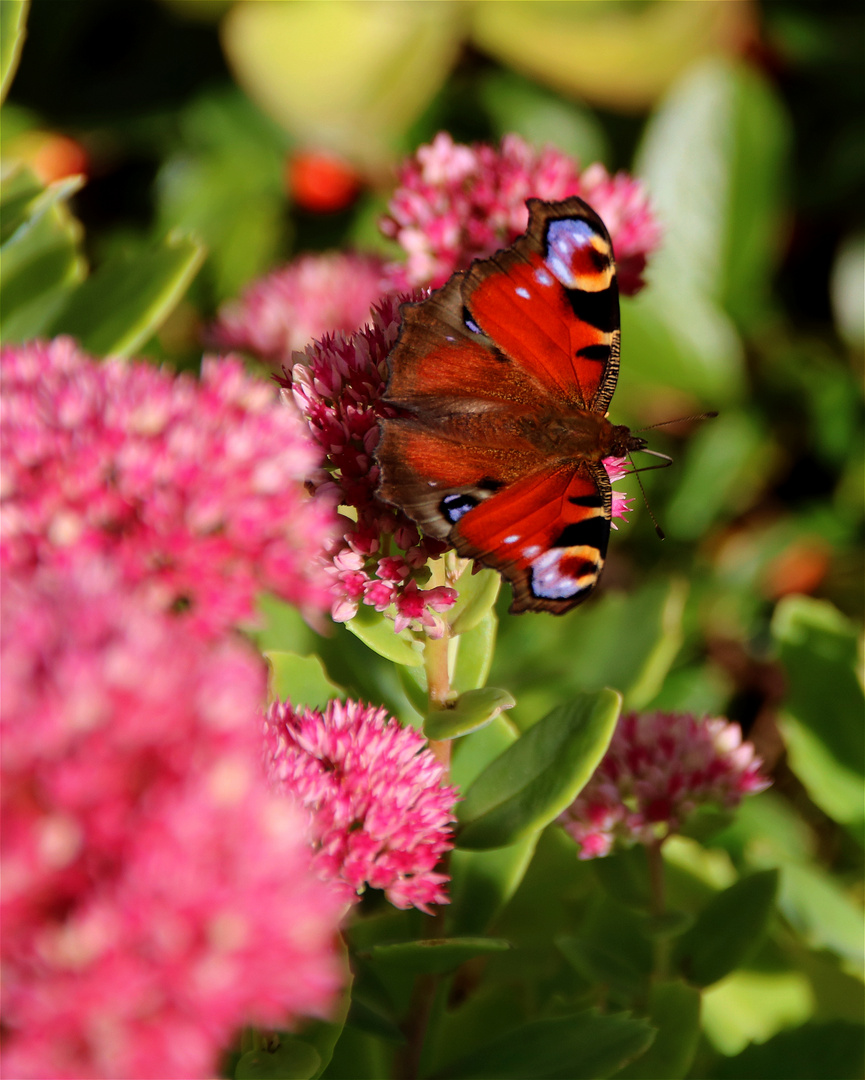 Farbe braucht der Mensch