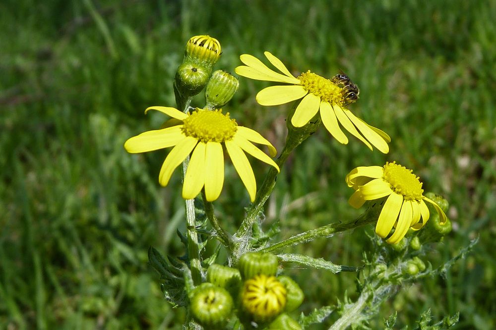 Farbe für die Seele