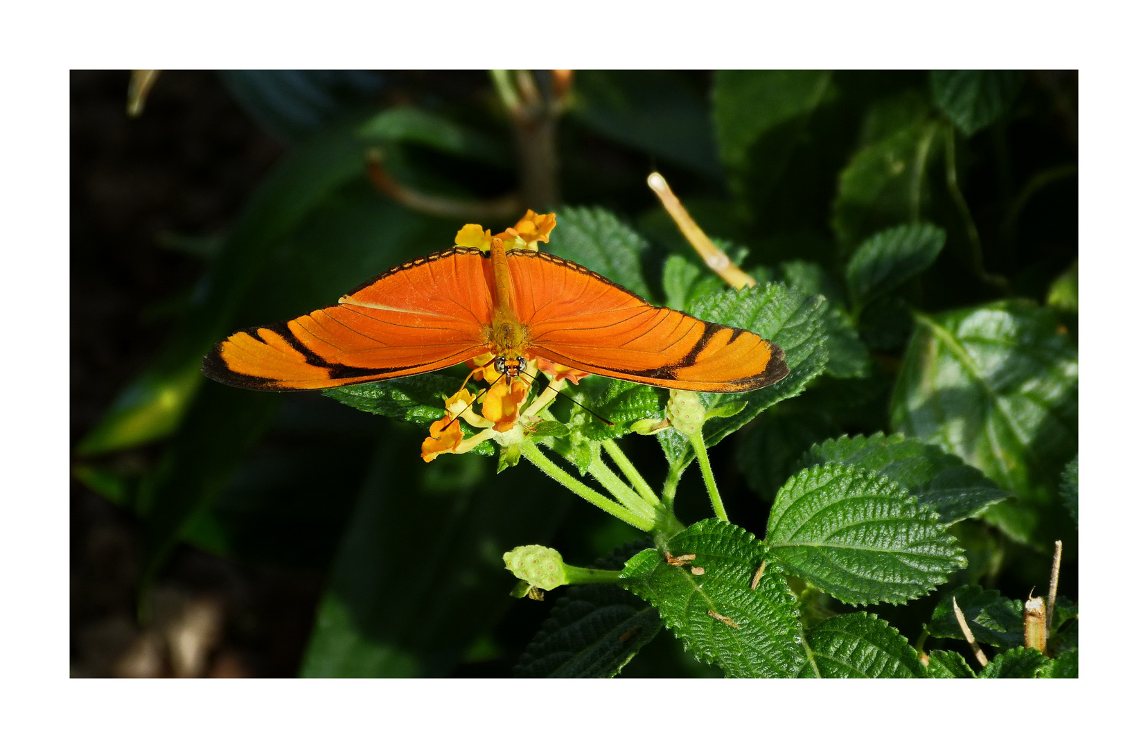 Farbe für einen nebeligen Novembertag