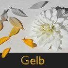 Farbe Gelb