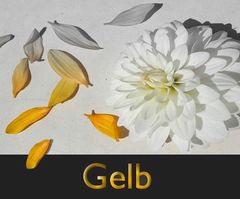 Farbe Gelb