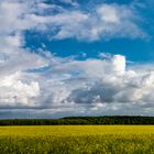 Farbe gelb, weiß, blau