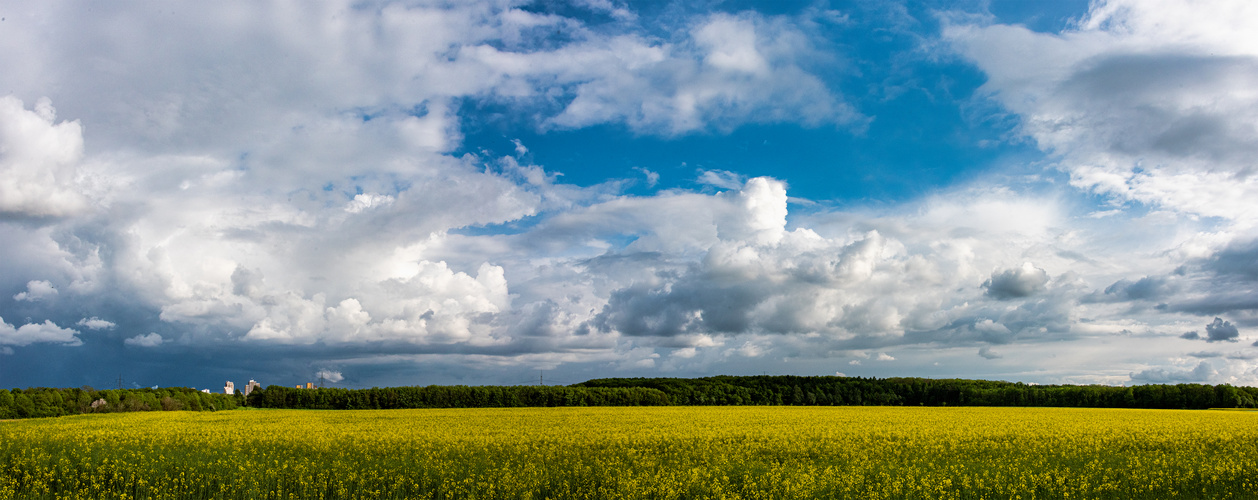 Farbe gelb, weiß, blau