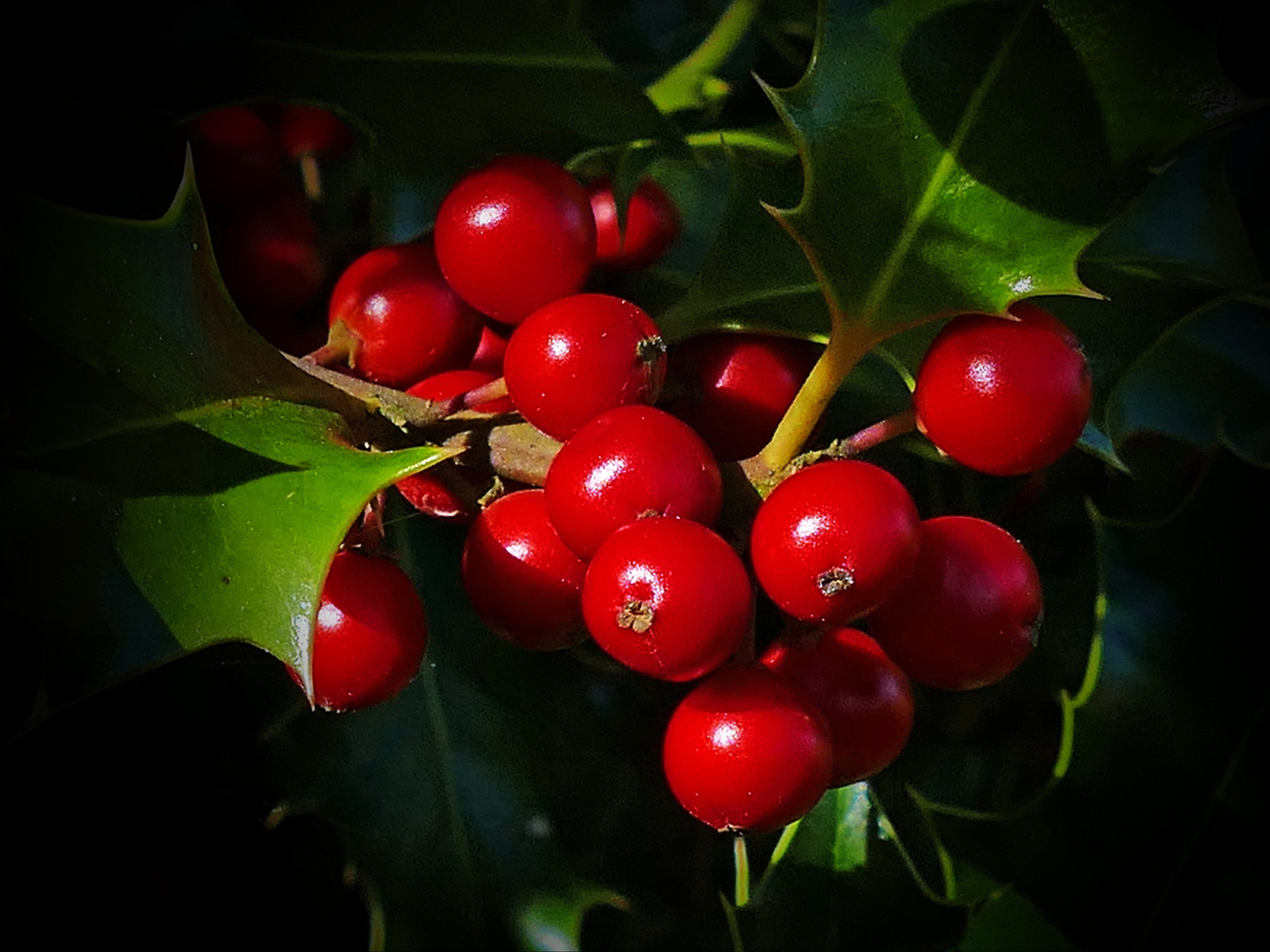 Farbe heitert auf