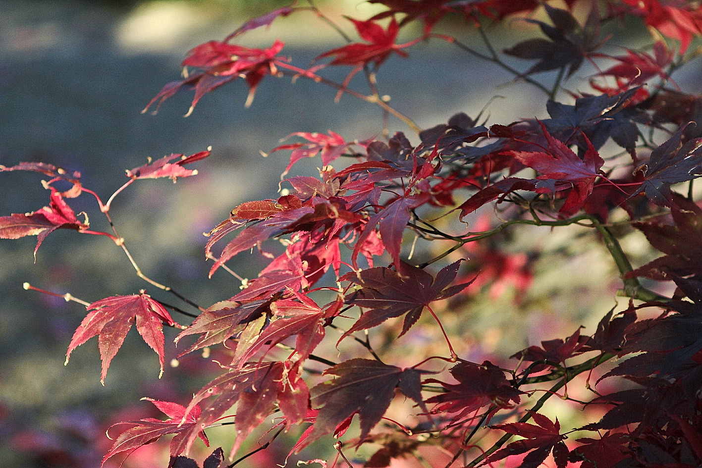 FARBE: Herbst