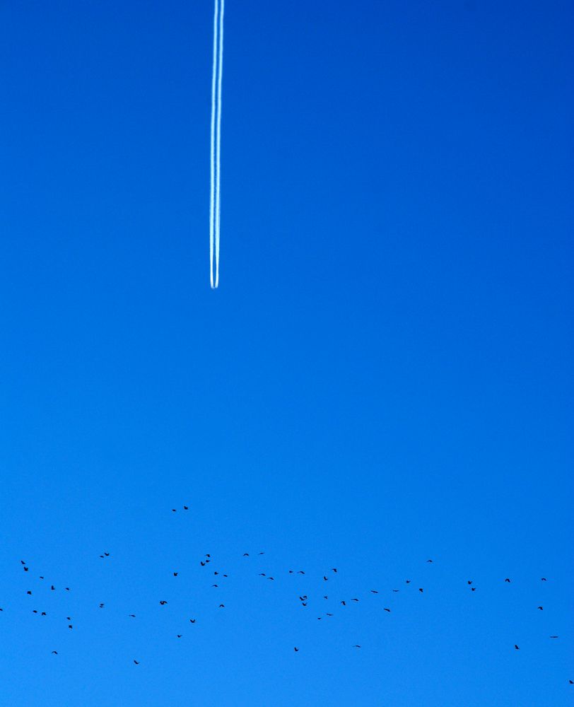 Farbe Himmelblau: Fliegen wie die Vögel