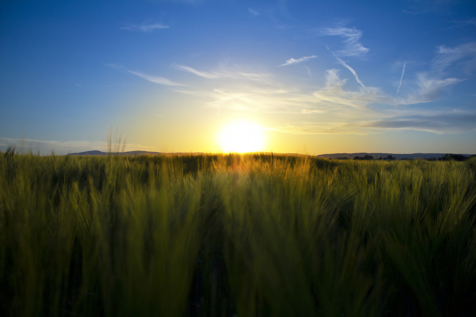 Farbe im Feld