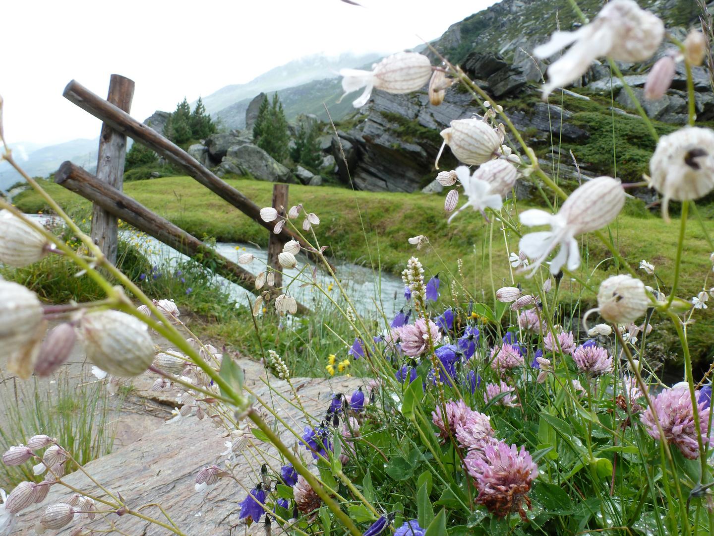 Farbe im Gebirge