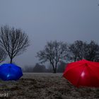 Farbe im grauen Jänner 