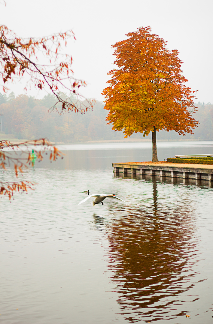 Farbe im Herbst