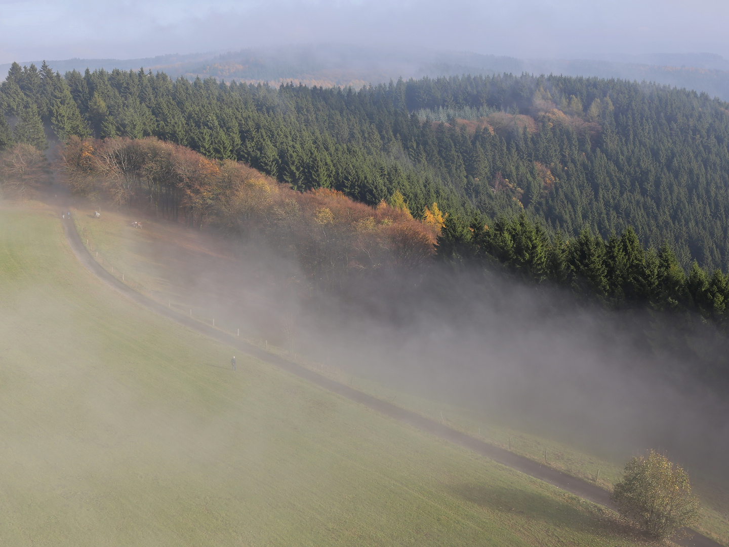 Farbe im Nebel (2017_11_01_EOS 6D_7136_ji)