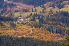 Farbe im "Schwarzen"-Wald