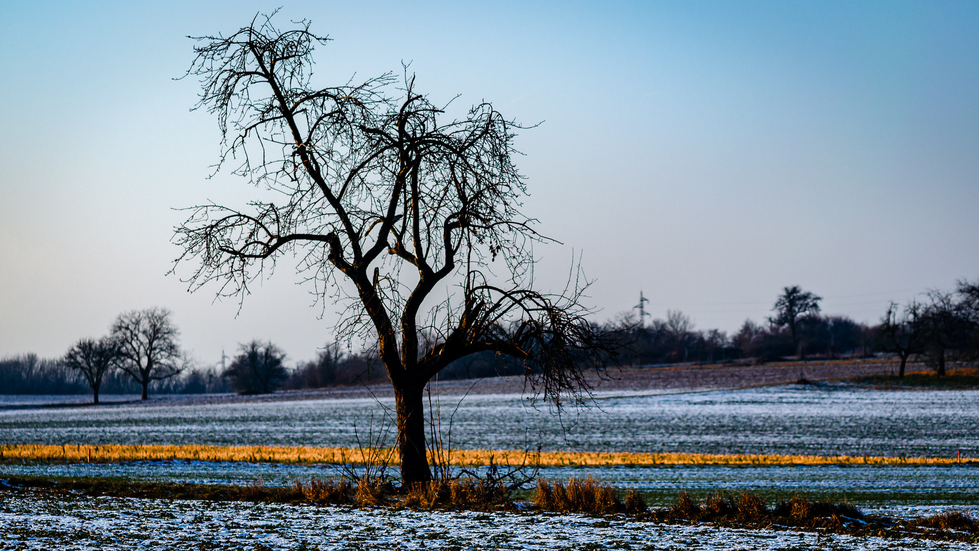 Farbe im Winter